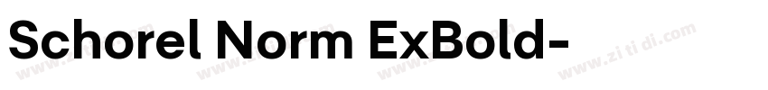 Schorel Norm ExBold字体转换